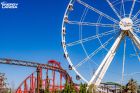 Wonder Wheel (208)